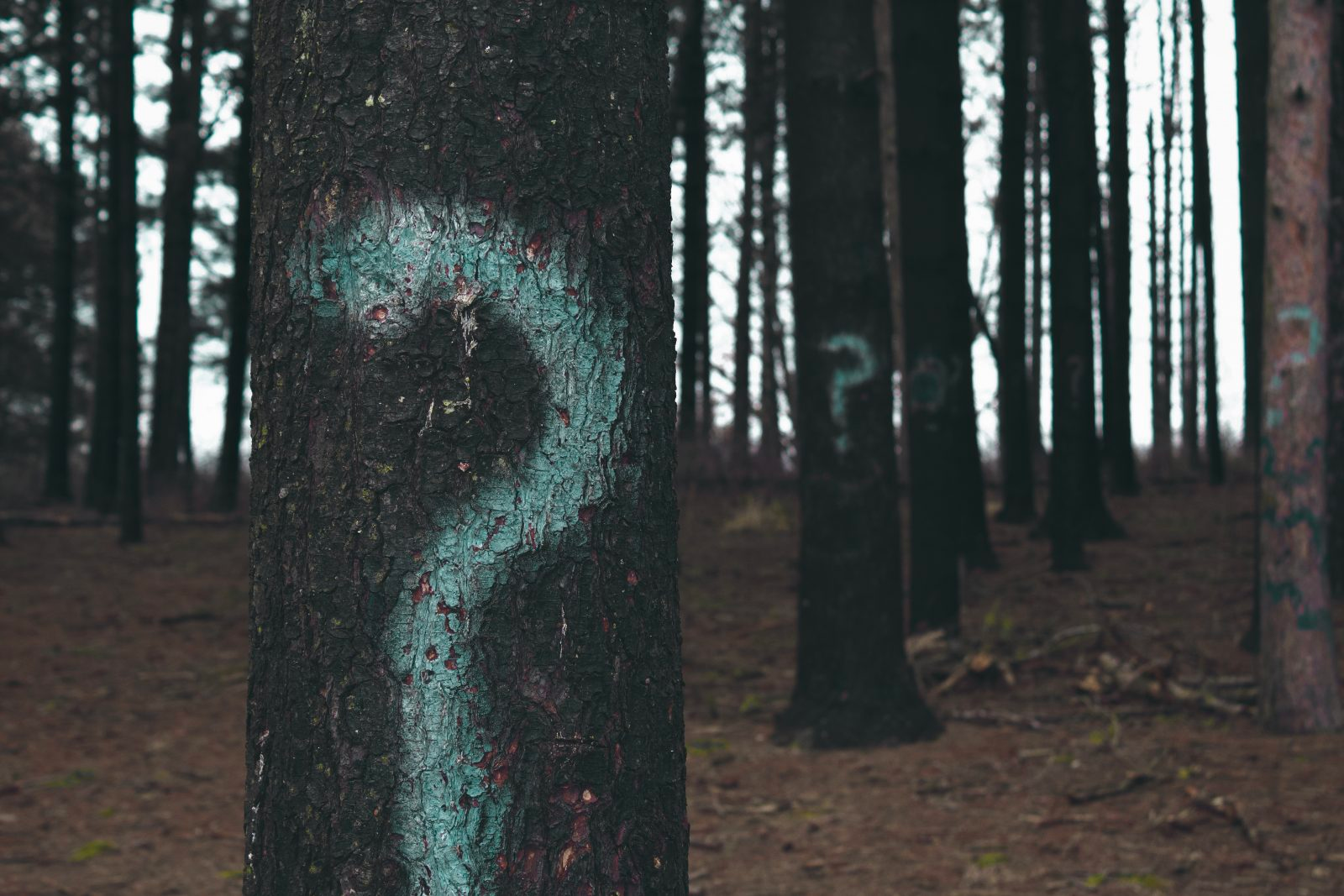 Leadership in Action- The 5 Critical Questions in Leading Change