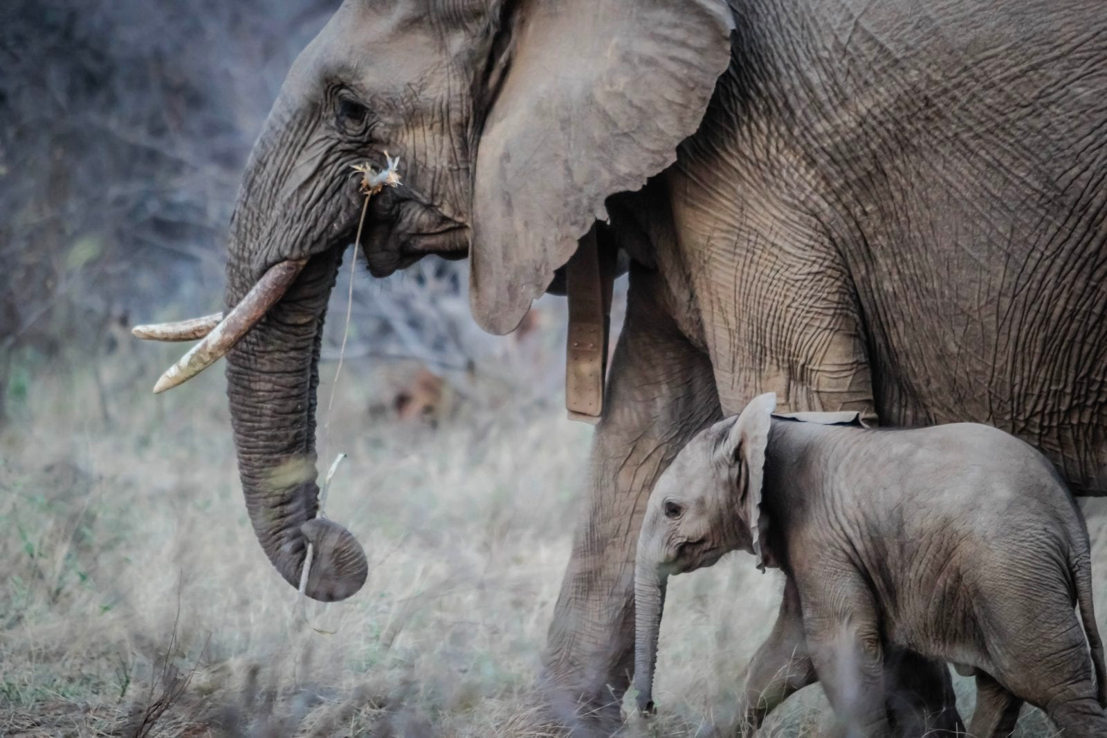 Leadership in Action – 3 Leadership Styles That Role Model Vulnerability